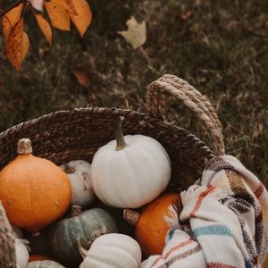 Meet your Posher, Reagan